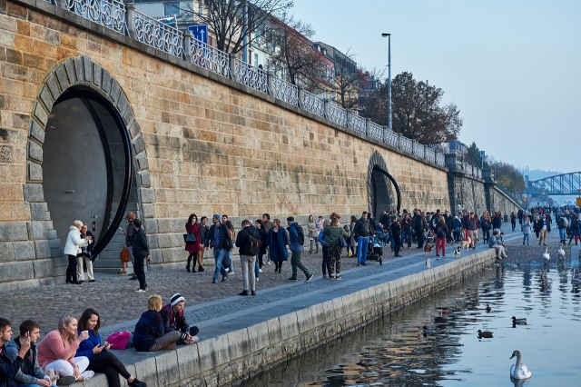 Cells in the wall of the river embankment