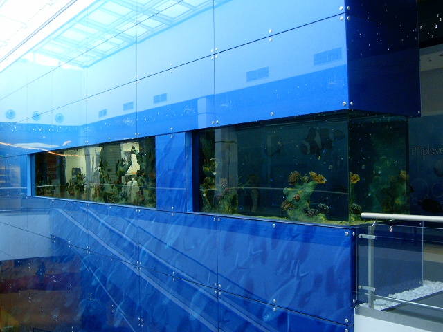 Aquarium, Nové Butovice Gallery